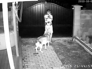 Ich hab die Freundin der Tochter erwischt