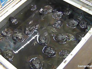 Hinter der Kamera mit Samantha Saint